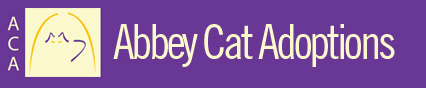 Abbey Cat Adoptions